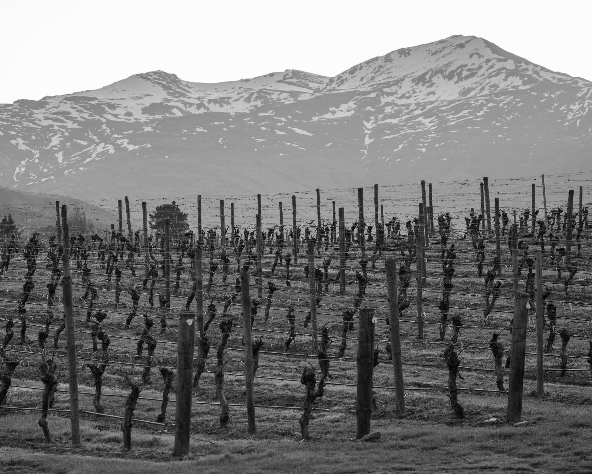 Lunch Menu The Church Cellar Door and Cafe